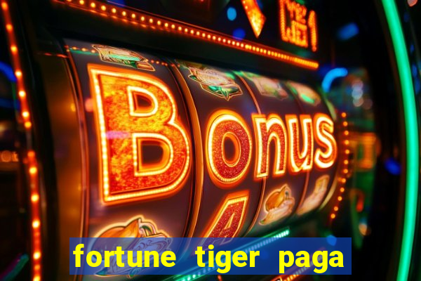 fortune tiger paga de madrugada